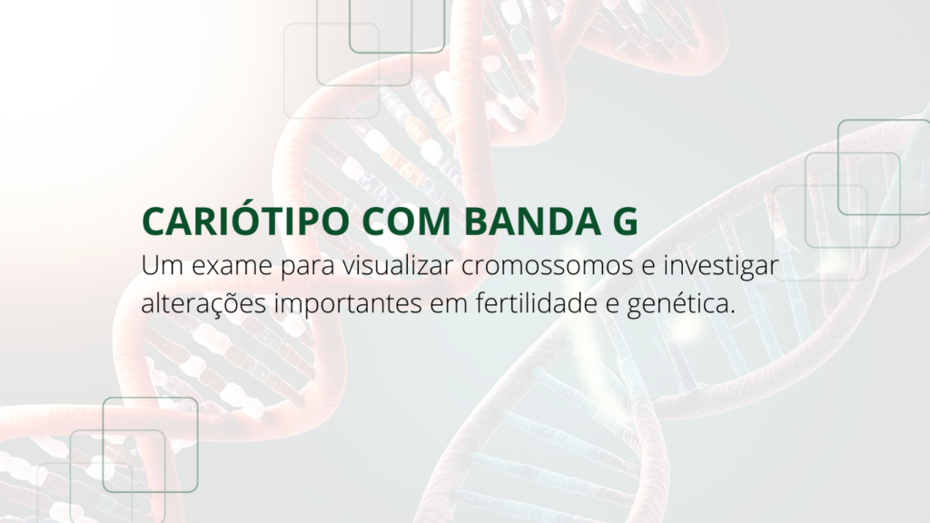 Cariótipo com banda G